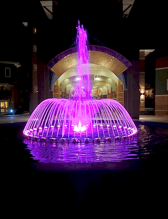 Edora Havuz, Fıskiye Sistemleri, Bubble Wall Fıskiye Sistemleri, Atlayan Su Sistemleri, Su Jeti Kubbe Fıskiye Sistemleri, Paslanmaz Pompa Motor Grupları, Müzikli Danslı Fıskiye Sistemleri, Misinalı Su Perdesi, Su Çanı ve Zambak Fıskiye Sistemleri, Nozullar, Otomasyon ve Yazılım, Kuru Havuz Fıskiye Sistemleri, Volkan Fıskiye Sistemleri, Dubalı Gölet Fıskiye Sistemleri, Su Altı Armatürleri, Köpük Fıskiye Sistemleri, Küre Fıskiye Sistemleri, Havuz Kenar Ekipmanları Merdivenler, Havuz Lambaları, Havuz Pompaları, Havuz Filtreleri, Havuz İçi Ekipmanları, Havuz Kimyasalları, Temizlik Ekipmanları Robotlar, Isıtma Ekipmanları ve Nem Alma Cihazları, Su Oyunları, Havuz Örtüleri, Vanalar ve PVC Ek Parçaları, Olimpik Havuz Aksesuarlar, Masaj Havuzu ve Sauna Malzemeleri