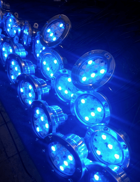 Edora Havuz, Fıskiye Sistemleri, Bubble Wall Fıskiye Sistemleri, Atlayan Su Sistemleri, Su Jeti Kubbe Fıskiye Sistemleri, Paslanmaz Pompa Motor Grupları, Müzikli Danslı Fıskiye Sistemleri, Misinalı Su Perdesi, Su Çanı ve Zambak Fıskiye Sistemleri, Nozullar, Otomasyon ve Yazılım, Kuru Havuz Fıskiye Sistemleri, Volkan Fıskiye Sistemleri, Dubalı Gölet Fıskiye Sistemleri, Su Altı Armatürleri, Köpük Fıskiye Sistemleri, Küre Fıskiye Sistemleri, Havuz Kenar Ekipmanları Merdivenler, Havuz Lambaları, Havuz Pompaları, Havuz Filtreleri, Havuz İçi Ekipmanları, Havuz Kimyasalları, Temizlik Ekipmanları Robotlar, Isıtma Ekipmanları ve Nem Alma Cihazları, Su Oyunları, Havuz Örtüleri, Vanalar ve PVC Ek Parçaları, Olimpik Havuz Aksesuarlar, Masaj Havuzu ve Sauna Malzemeleri